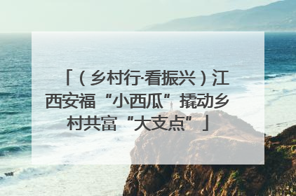 （乡村行·看振兴）江西安福“小西瓜”撬动乡村共富“大支点”